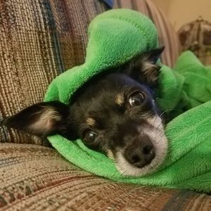 Meet your Posher, Aaron